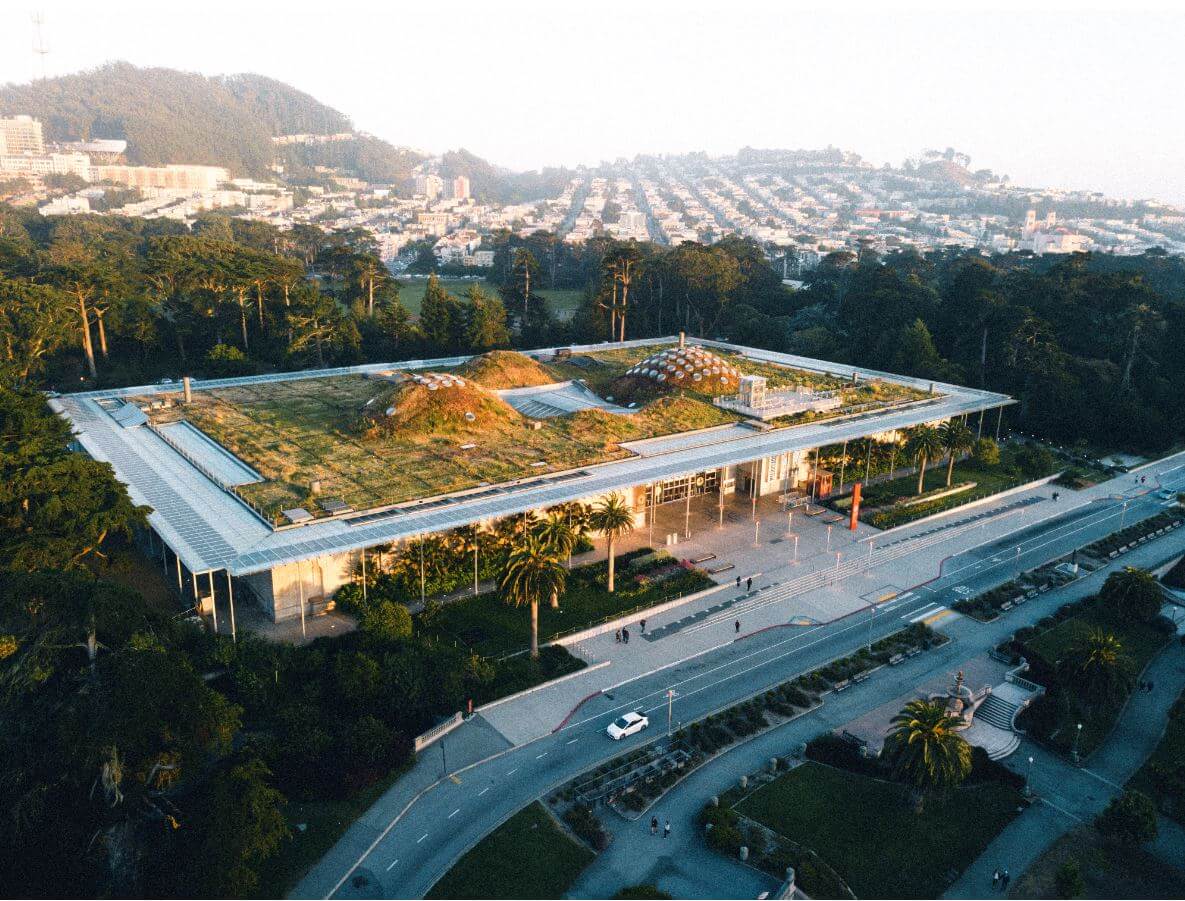 california_academy_of_sciences_renzo_piano